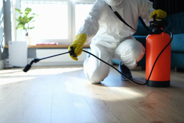 Reliable Odor Removal contractor in Harrisonville, MO by Trauma Clean Pros